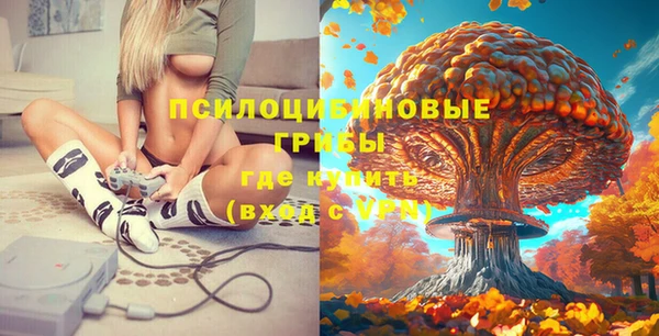 МДПВ Алексин