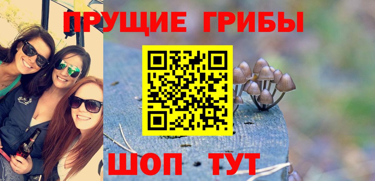 Псилоцибиновые грибы Cubensis Благовещенск