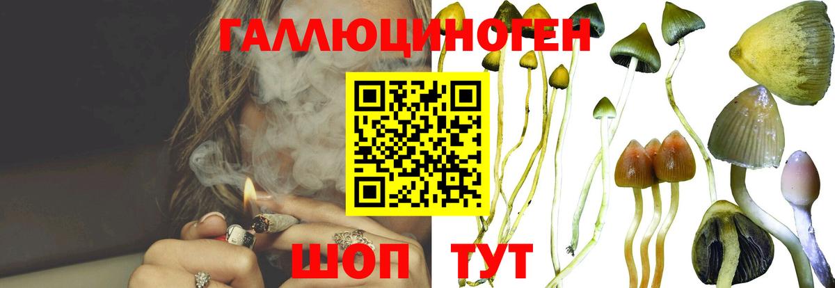 сколько стоит  Псилоцибиновые грибы Psilocybe  Галлюциногенные грибы ЛСД  Вход с VPN  Благовещенск 